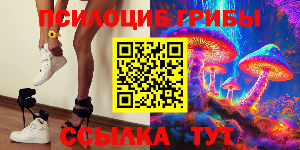 Галлюциногенные грибы Psilocybe  Вход с VPN  что такое   Галлюциногенные грибы Cubensis  Луга 