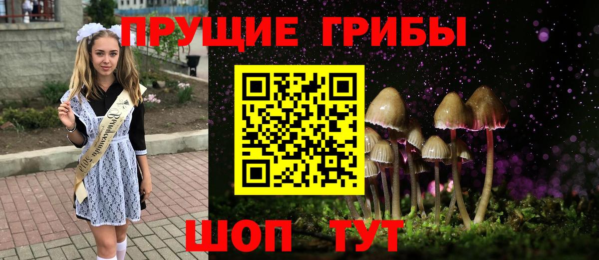 Галлюциногенные грибы Magic Shrooms Луга
